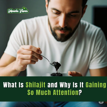 What Is Shilajit and Why Is It Gaining So Much Attention?