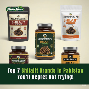 Top 7 Shilajit Brands in Pakistan You’ll Regret Not Trying!