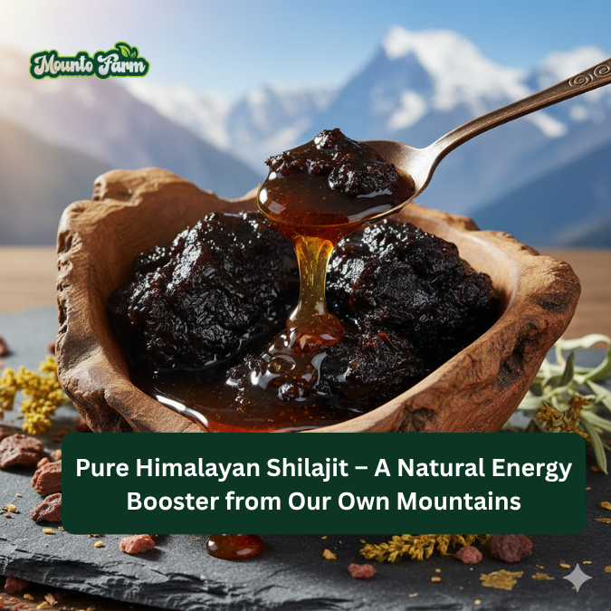 Pure Himalayan Shilajit 